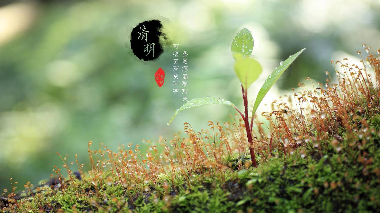 快手俩号互刷-王者赞免费领取赞,行业第一黑马平台卡 - 快手俩号互刷-王