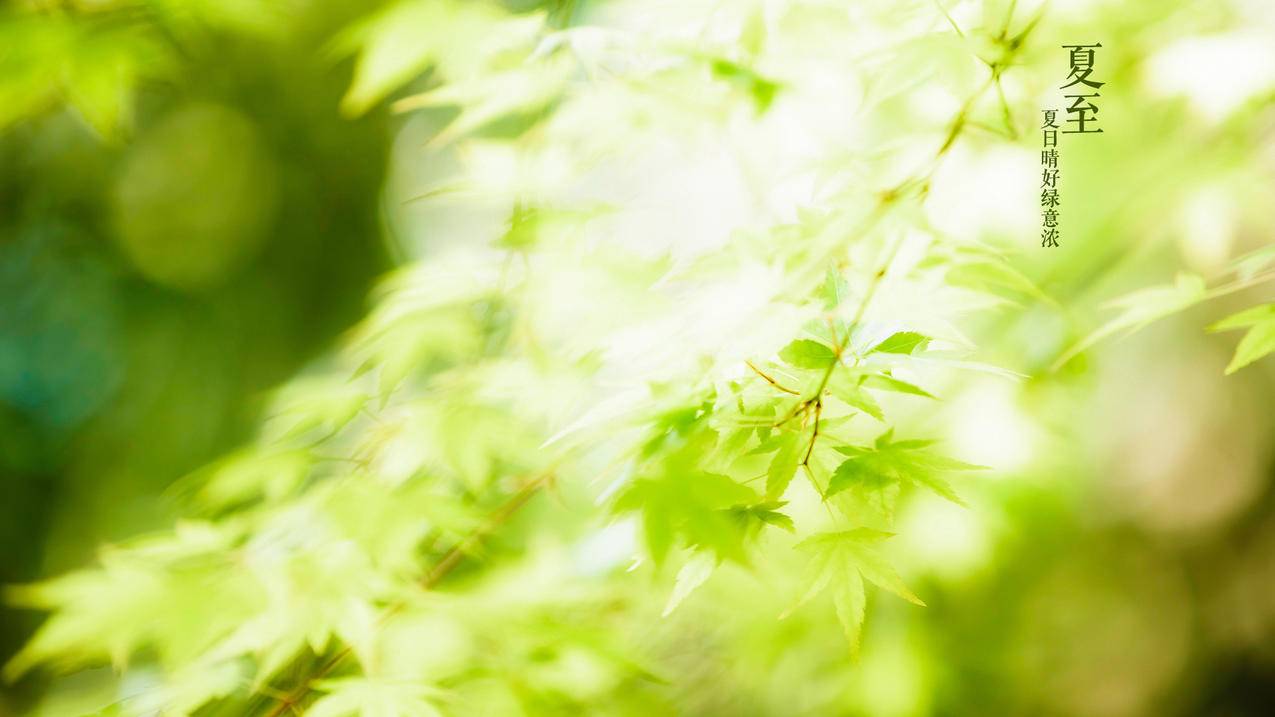 快手买赞一块钱500个赞 - 一辰卡盟,抖音业务秒刷500播放量