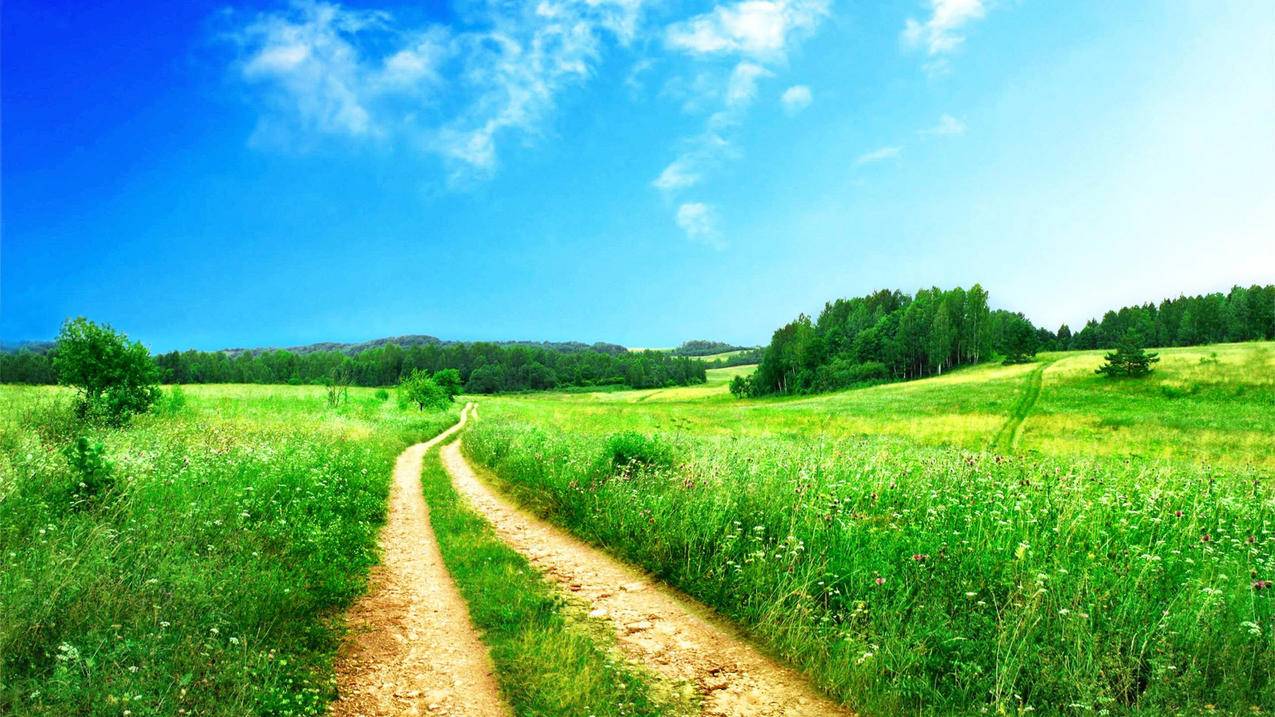 抖音刷爱心自助平台-全网最低价赞网站,王者荣耀金币代练,抖音业务自助平台秒刷